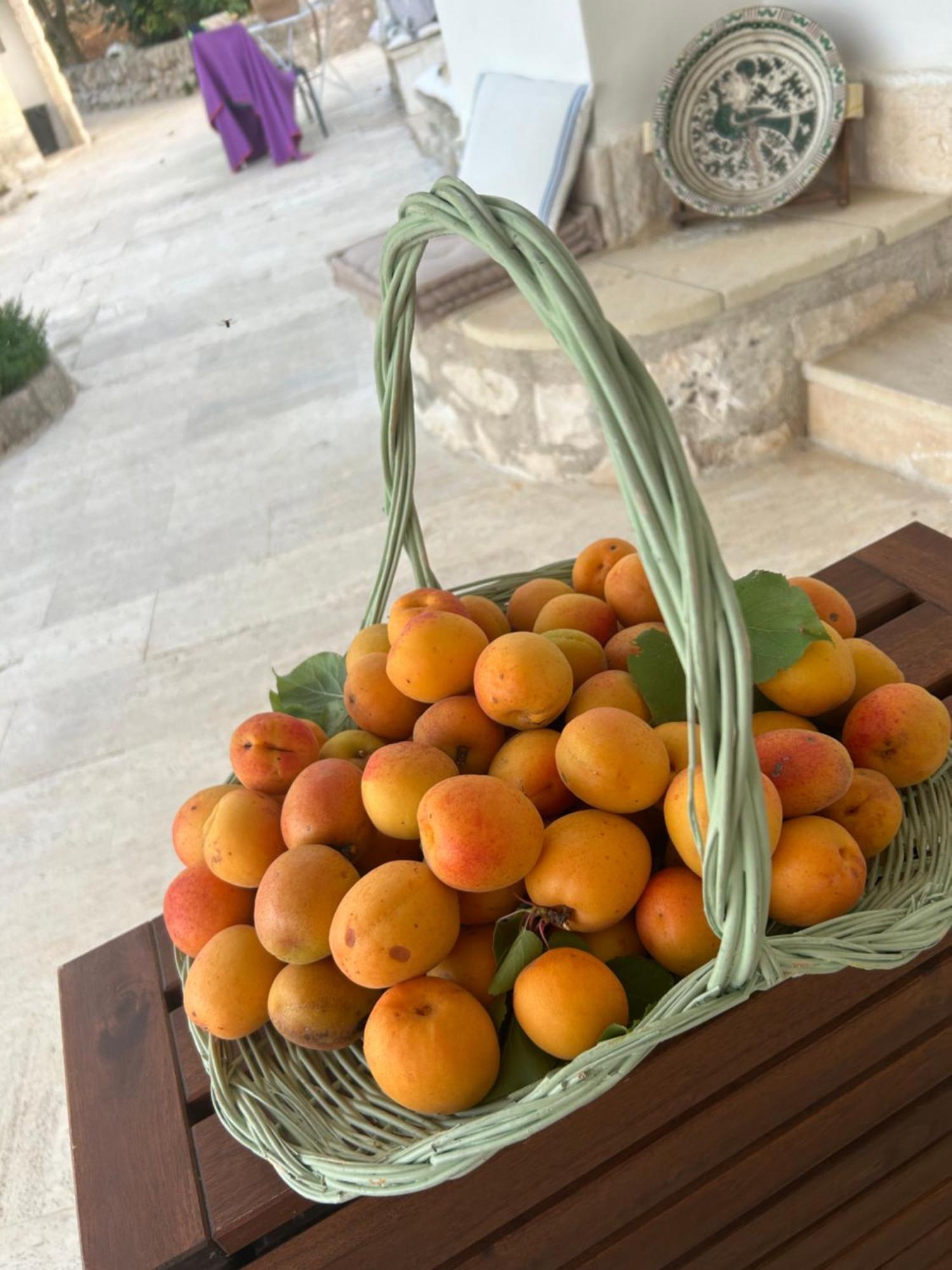 Il Trullo Di Simona Bed & Breakfast Locorotondo Eksteriør bilde