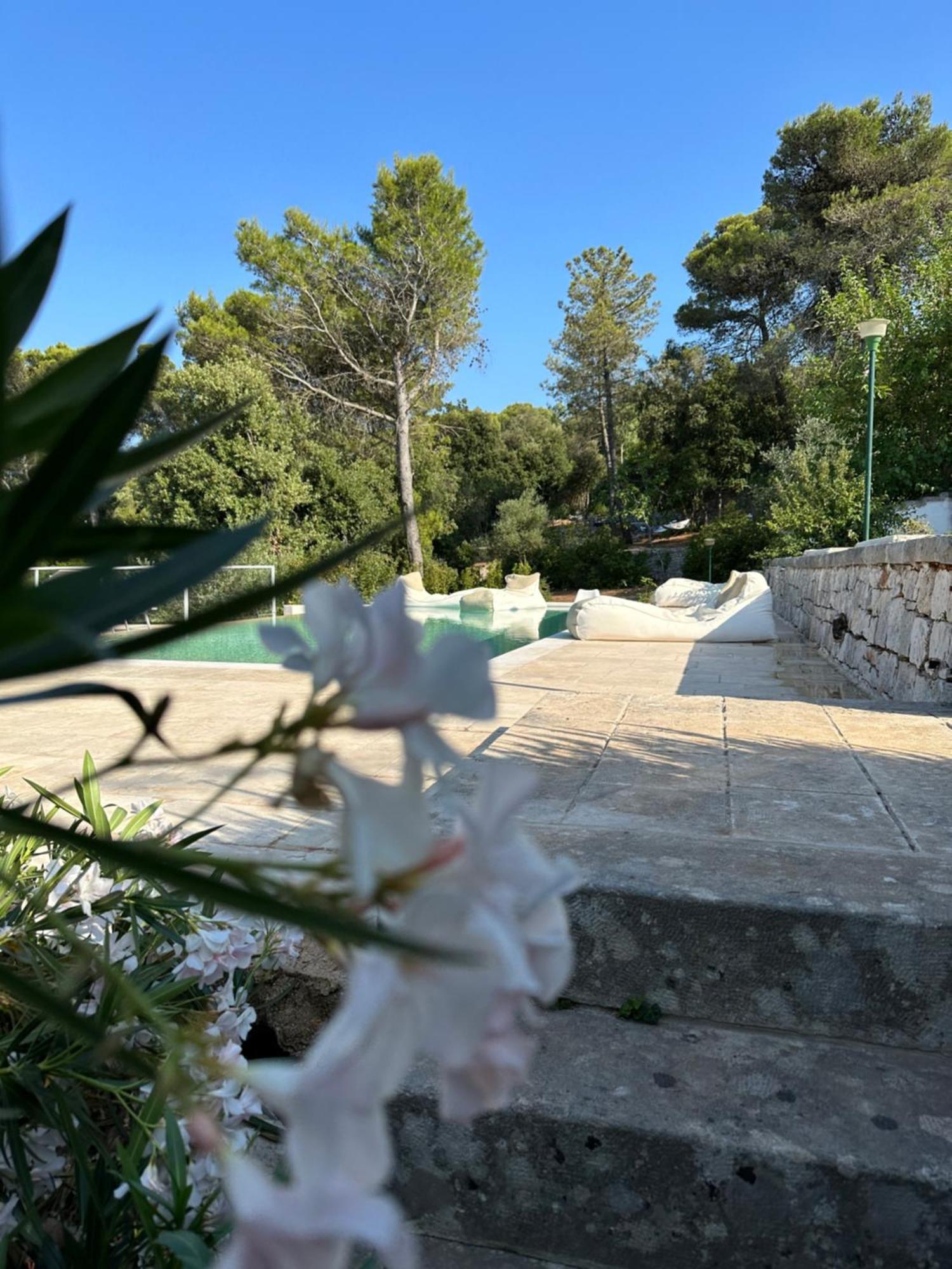 Il Trullo Di Simona Bed & Breakfast Locorotondo Eksteriør bilde
